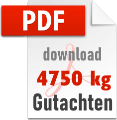 Gutachten 8125..